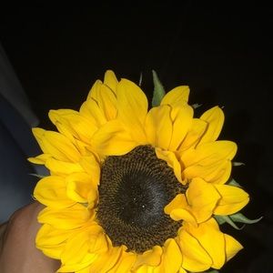 Meet your Posher, Kobi